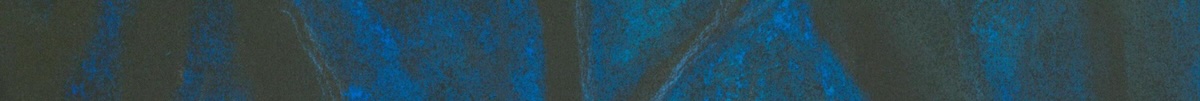 A close-up of the detail in MYB's painting 'The Path,' featuring blue moonlight shining between black trees.